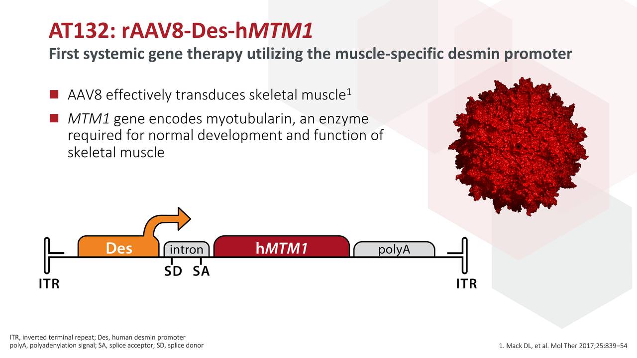 Audentes Therapeutics (BOLD) Presents At Annual Meeting Of The American ...