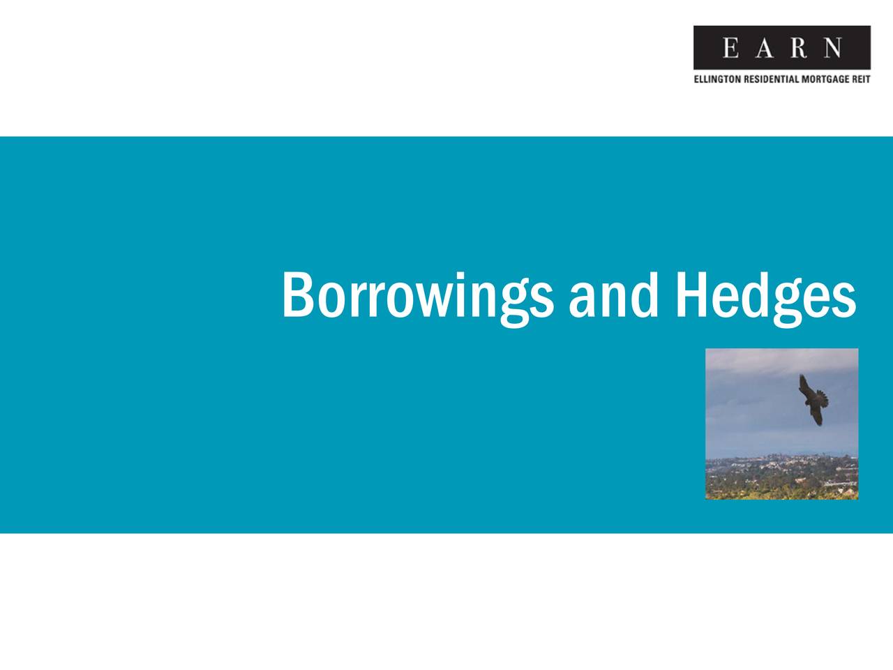 BorrowingsandHedges