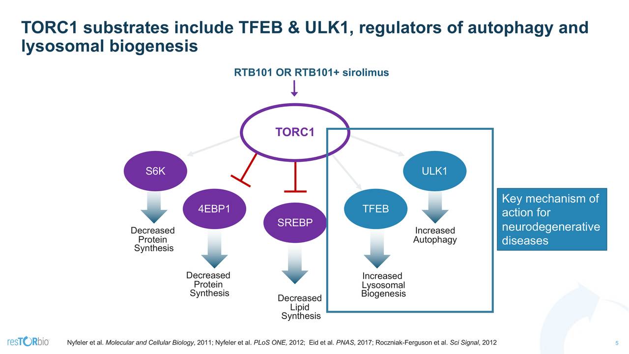 TORC1 substrates include TFEB & ULK1, regulators of autophagy and