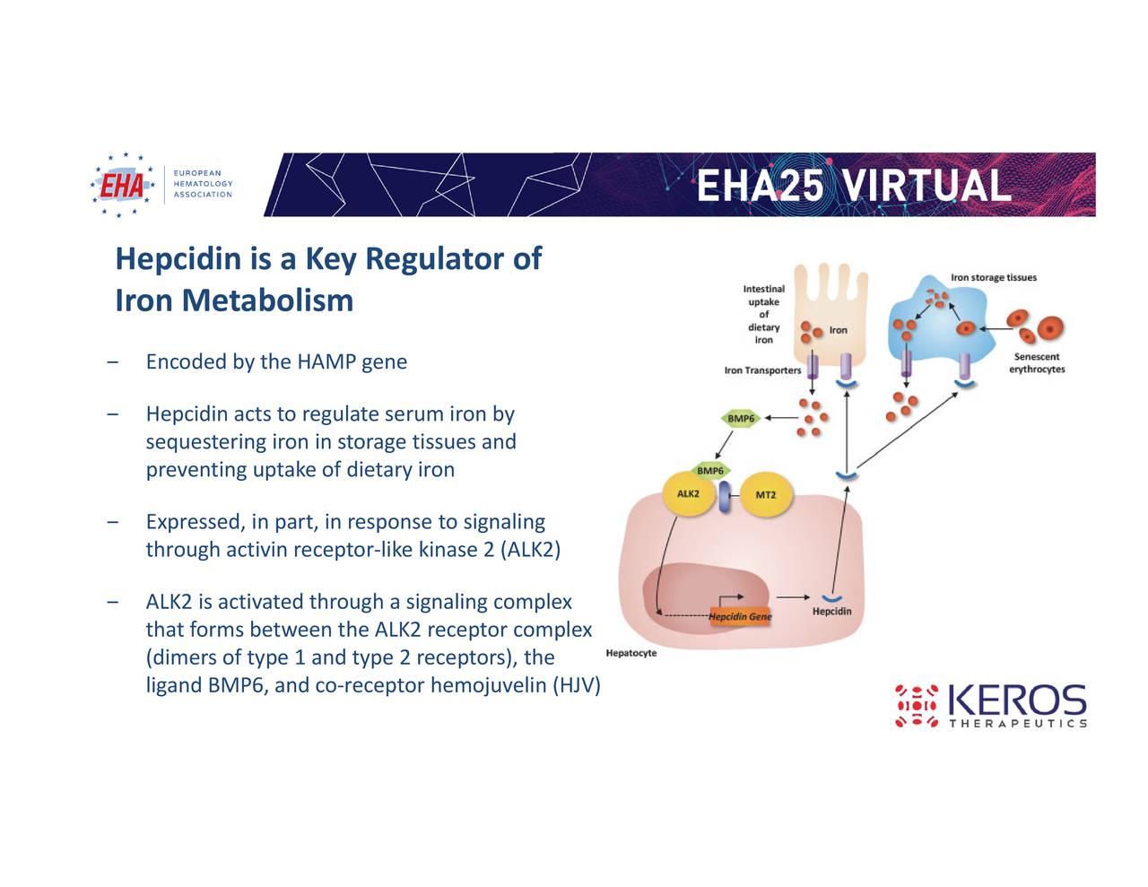 Keros Therapeutics (KROS) Presents At European Hematology Association ...