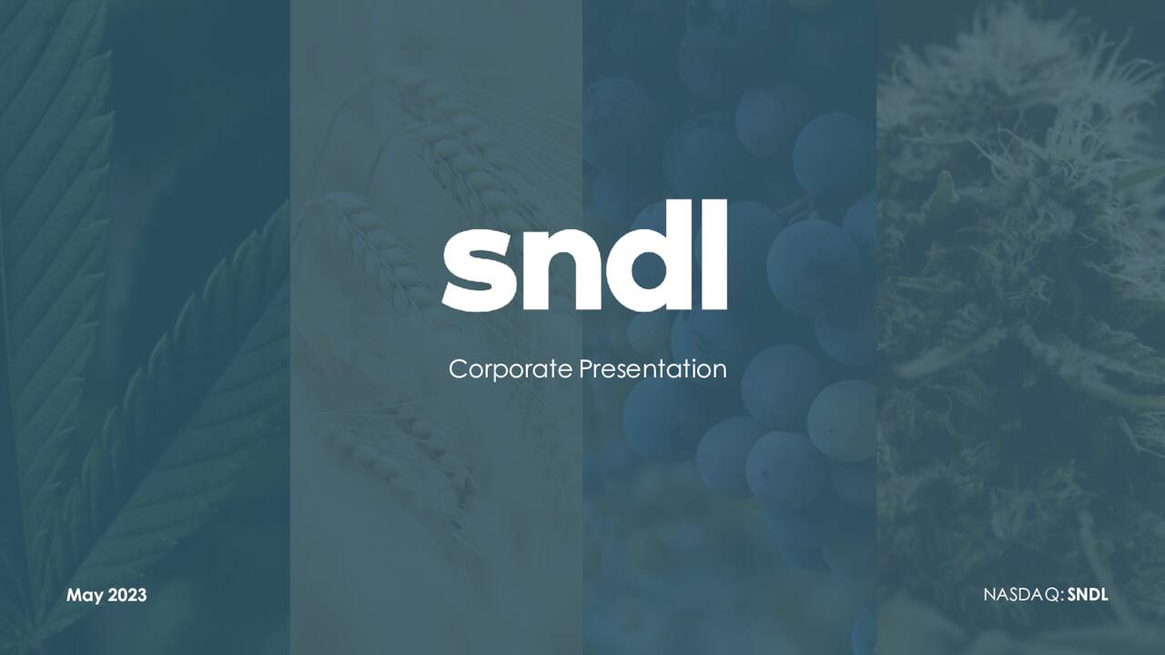 SNDL Inc. 2023 Q1 Results Earnings Call Presentation (NASDAQSNDL