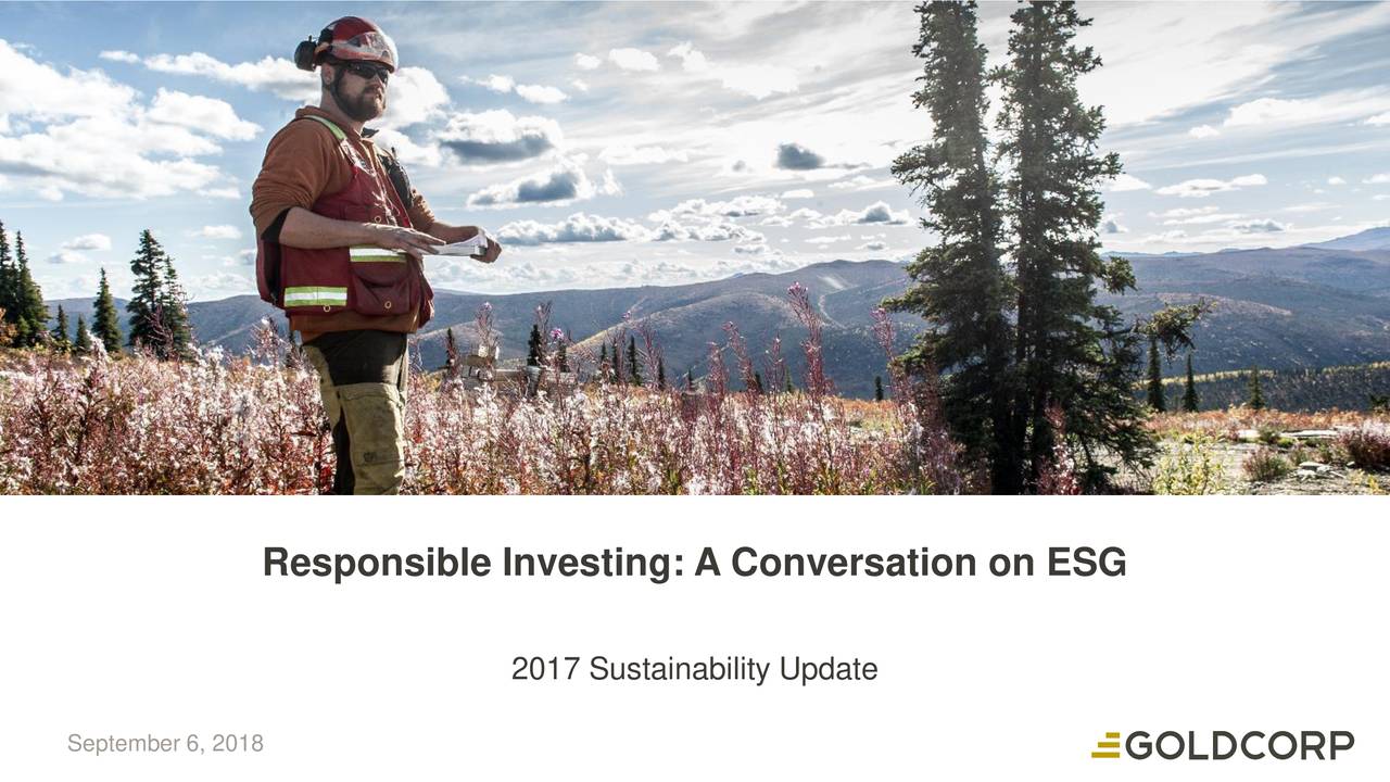 Responsible Investing: A Conversation on ESG