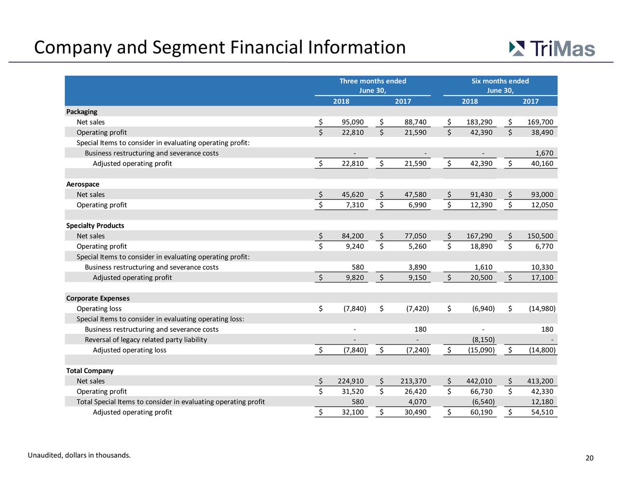Company and Segment Financial Information