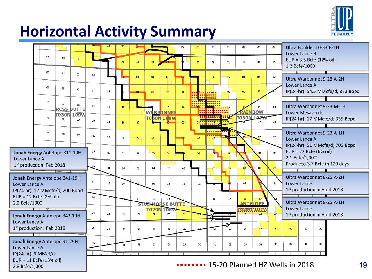 Horizontal Activity Summary