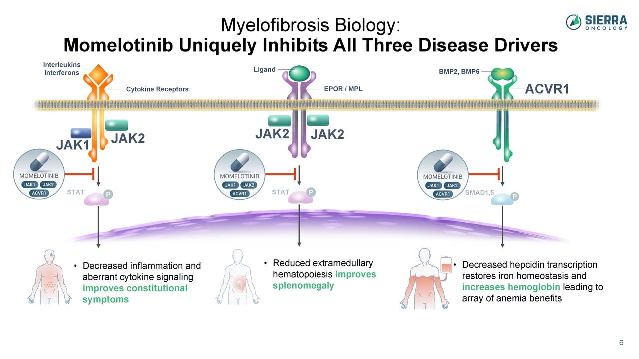 myelofibrosis stem cell transplant